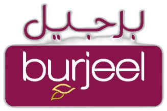 Burjeel